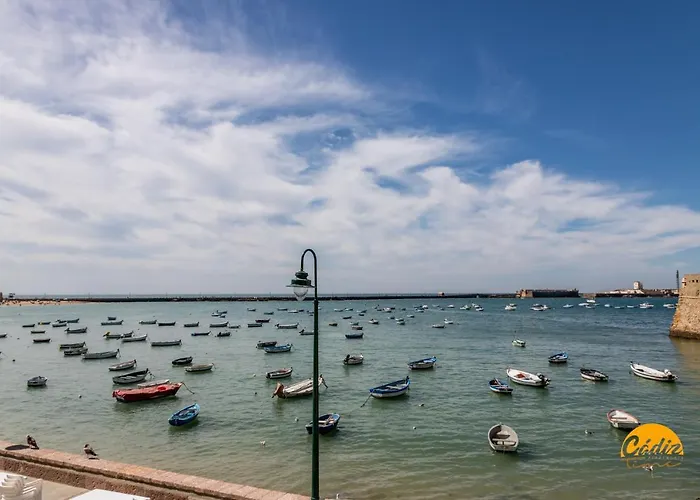 Διαμέρισμα Estudio Gaviota By Time